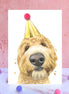 Golden Doodle Pompom Birthday Card