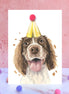 Springer Spaniel Pompom Birthday Card
