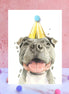 Staffordshire Bull Terrier Pompom Birthday Card