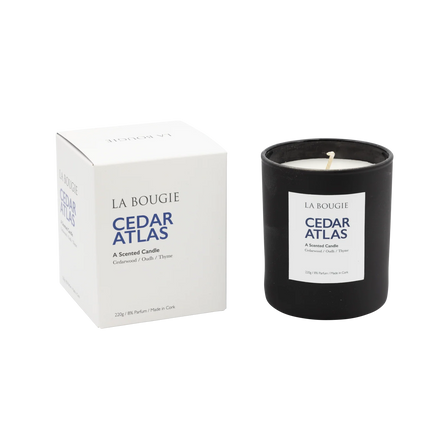 Cedar Atlas Candle