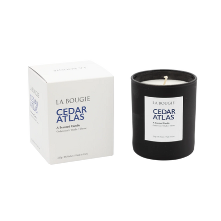 Cedar Atlas Candle