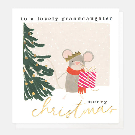 Lovely Granddaughter Mouse Holding Present Scene