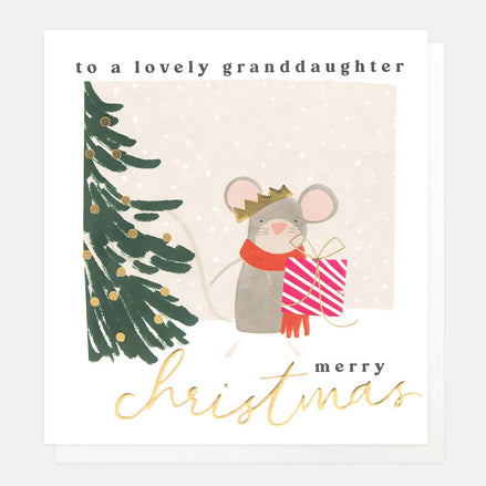 Lovely Granddaughter Mouse Holding Present Scene