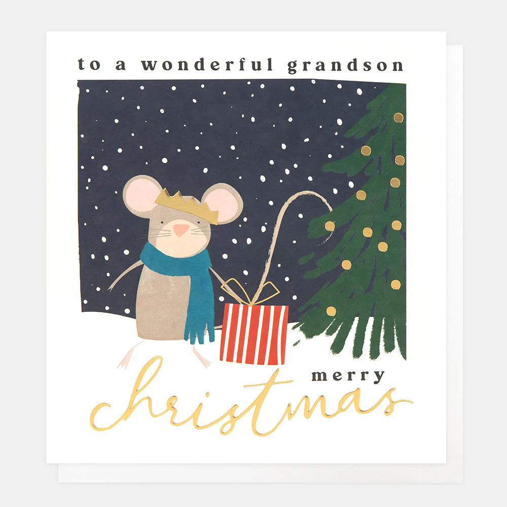 Wonderful Grandson Mouse With Present Scene
