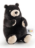 Bear Small