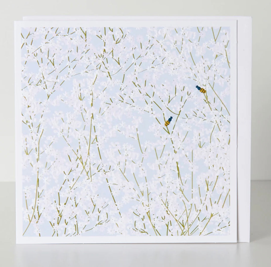 Blank Gypsophilia Card