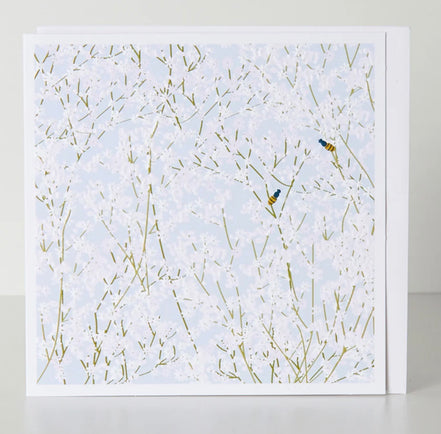 Blank Gypsophilia Card