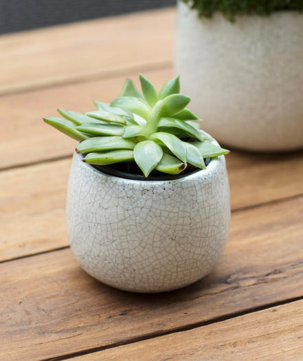 Ravello Pot 11.5cm White