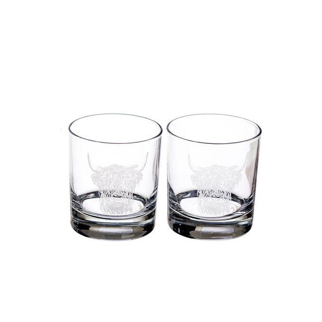 2 Glass Tumblers - Highland Cow