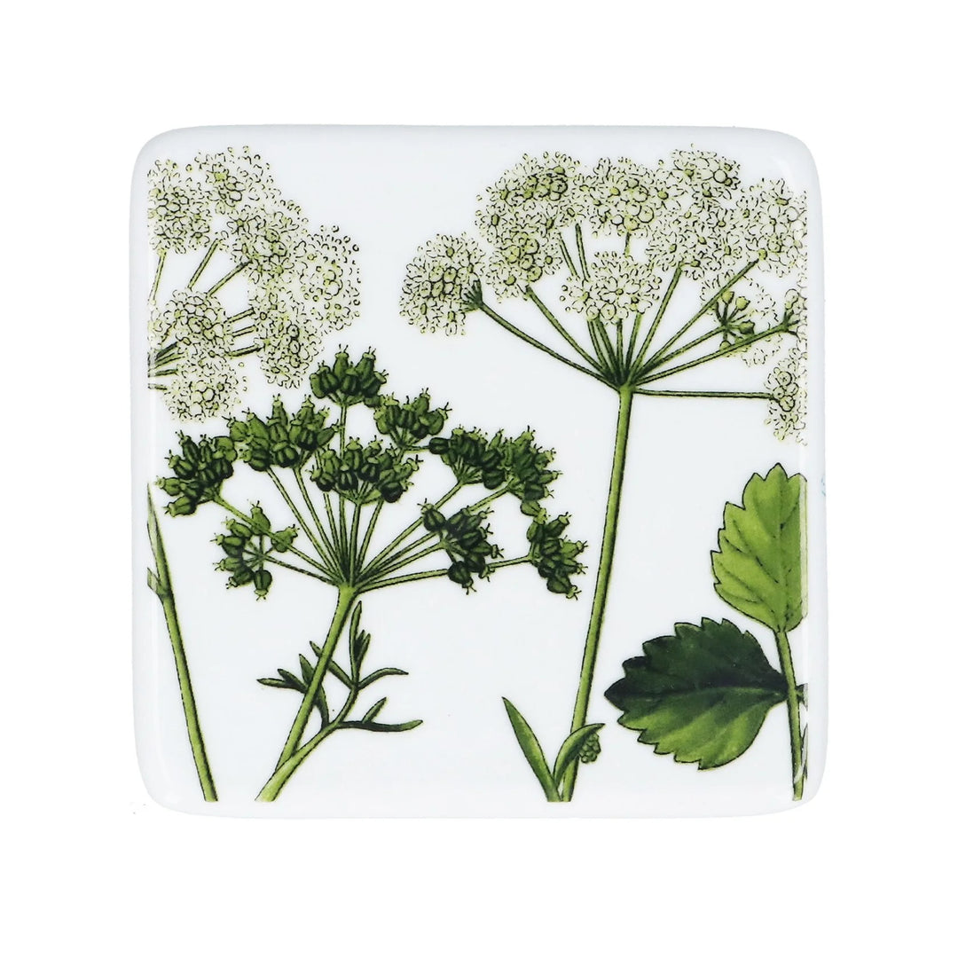 Porcelain China Coaster - Spring Hedgerow