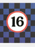 Blue Grid 16 Birthday Card