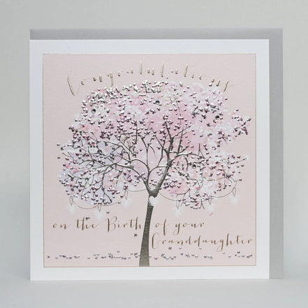 Congratulations Birth of Granddaughter