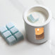 Sea Salt & Oakmoss  - Wax Melter Set