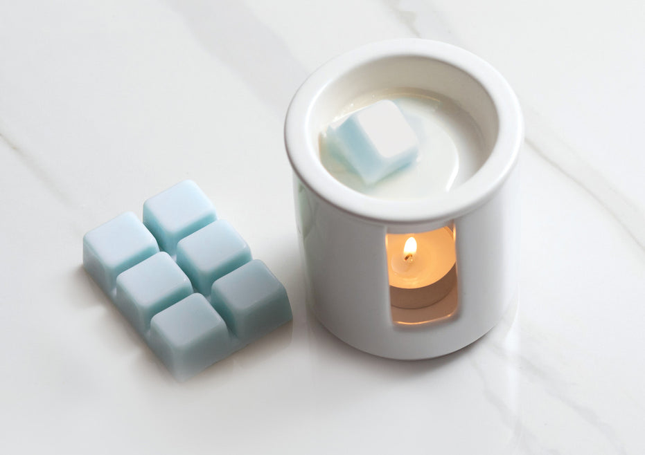 Sea Salt & Oakmoss  - Wax Melter Set