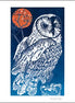 Barn Owl Southleigh Woods Art Card