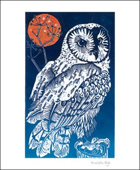 Barn Owl Southleigh Woods Art Card