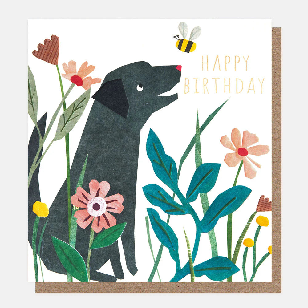 Happy Birthday - Black Dog With Bee Collage Card