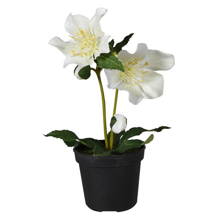 Hellebore Potted Faux Plant