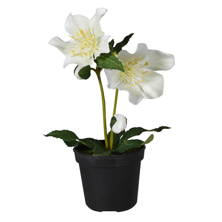 Hellebore Potted Faux Plant