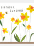 Birthday Sunshine with Daffodils Card