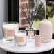 Modern Classics Pink Peony & Gardenia Boxed Tumbler Candle