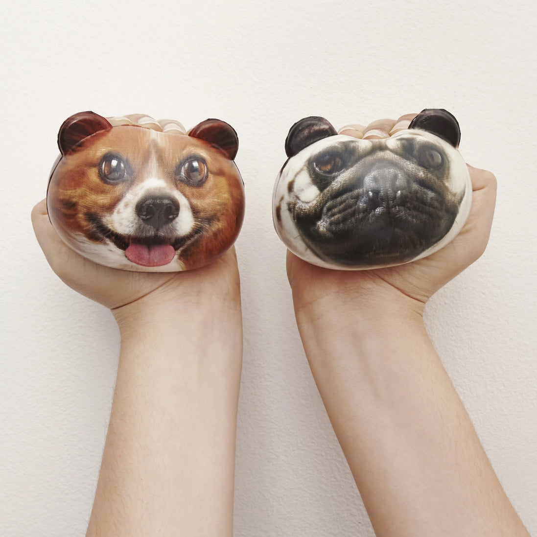 Dog Stress Balls