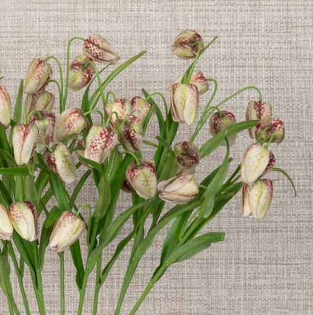 Fritillaria Spray Stem