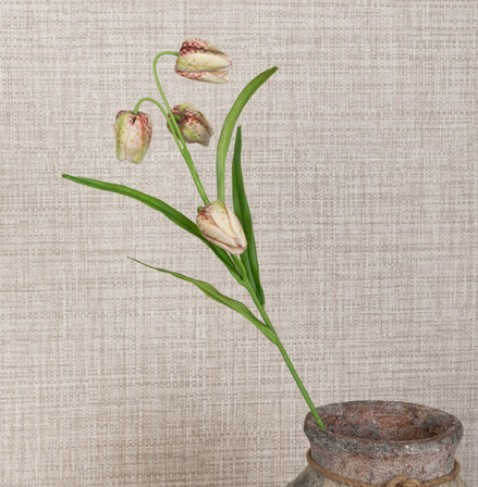 Fritillaria Spray Stem