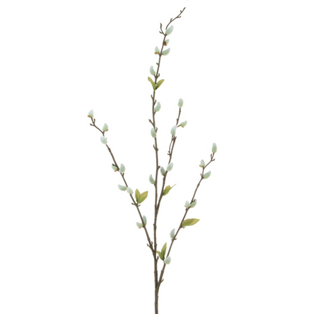 Pussy Willow Stem