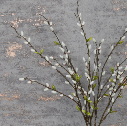Pussy Willow Stem