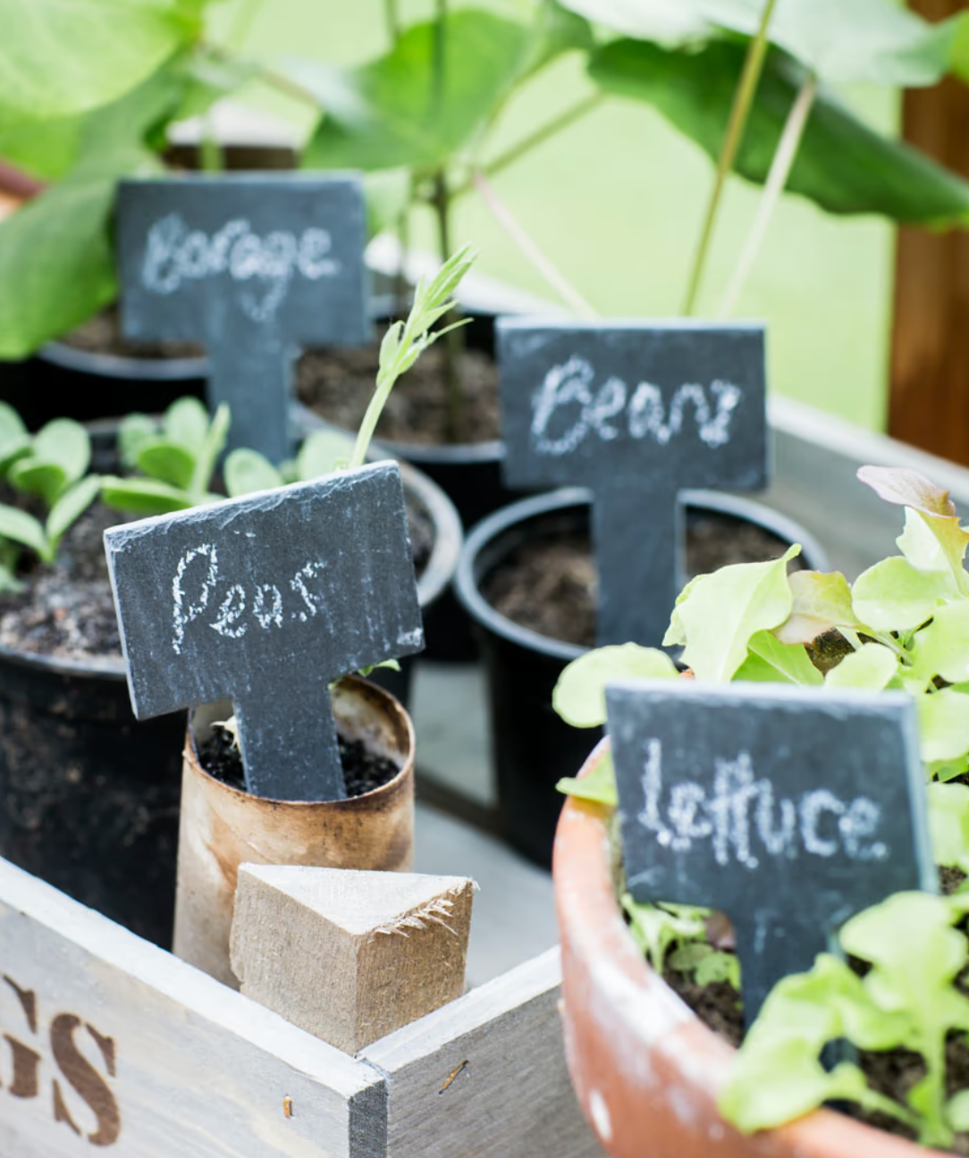 Classic Slate Greenhouse Tags Set of Six