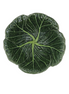 Small Cabbage Stoneware Bowl - Green