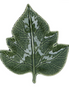 Mini Ceramic Grape Leaf Dish - Green
