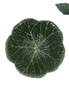 Medium Cabbage Stoneware Bowl - Green