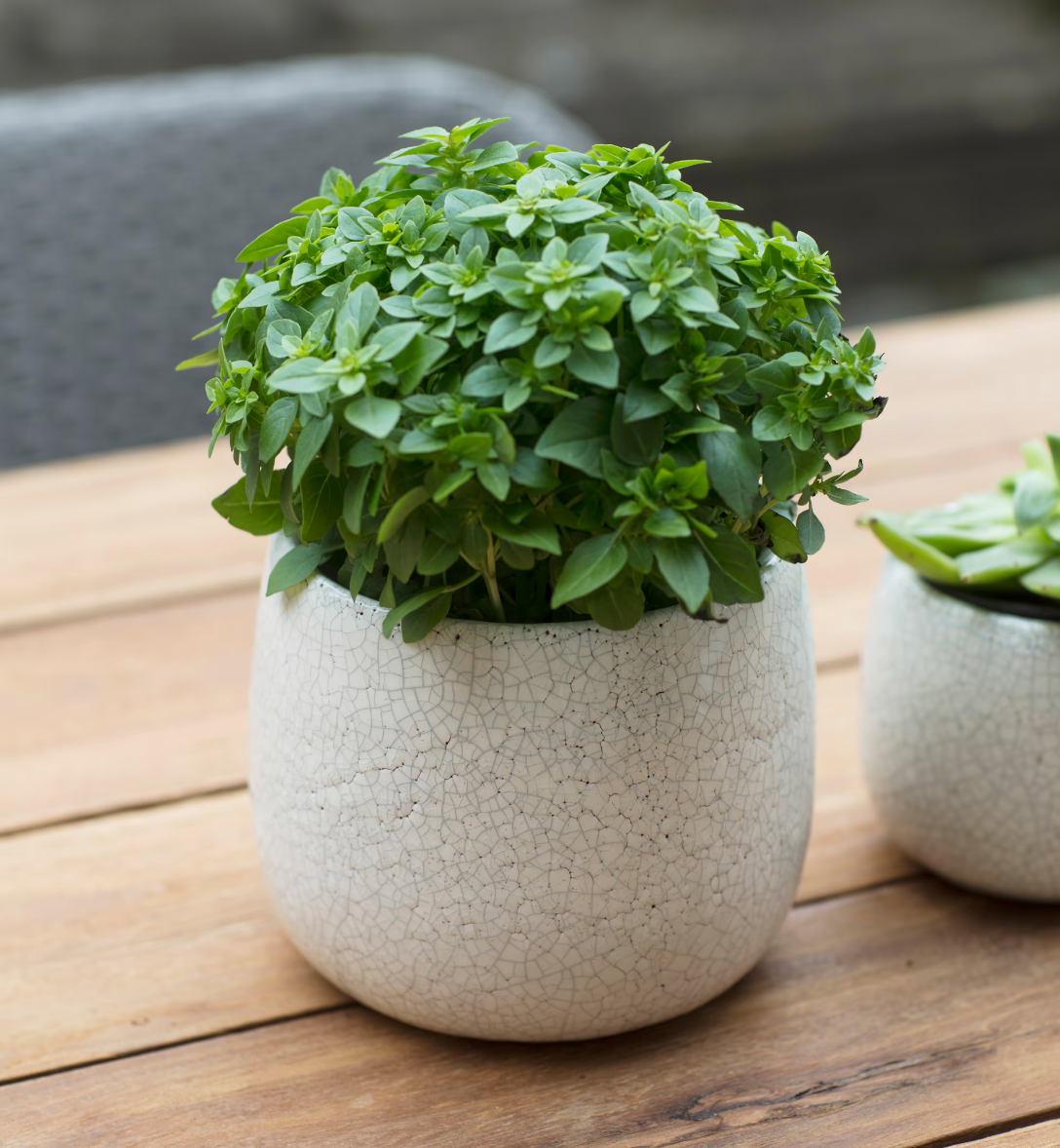 Ravello Pot 15.5cm White