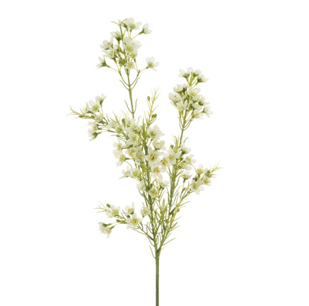 Wintersweet Spray Faux Flower Stem  - White