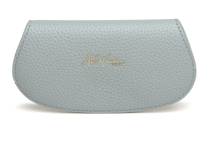 Duck Egg Glasses Case