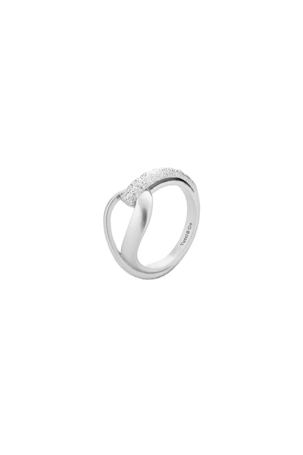 Echo Ring Silver