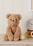 William The Plush Sitting Brown Teddy Bear