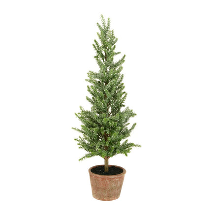 Pine Tree with Brown Pot
