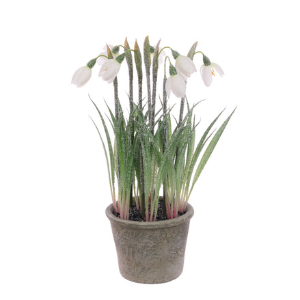 Frosted Snowdrops in Pot – 27cm