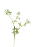 Queen Anne Lace Faux Flower Stem