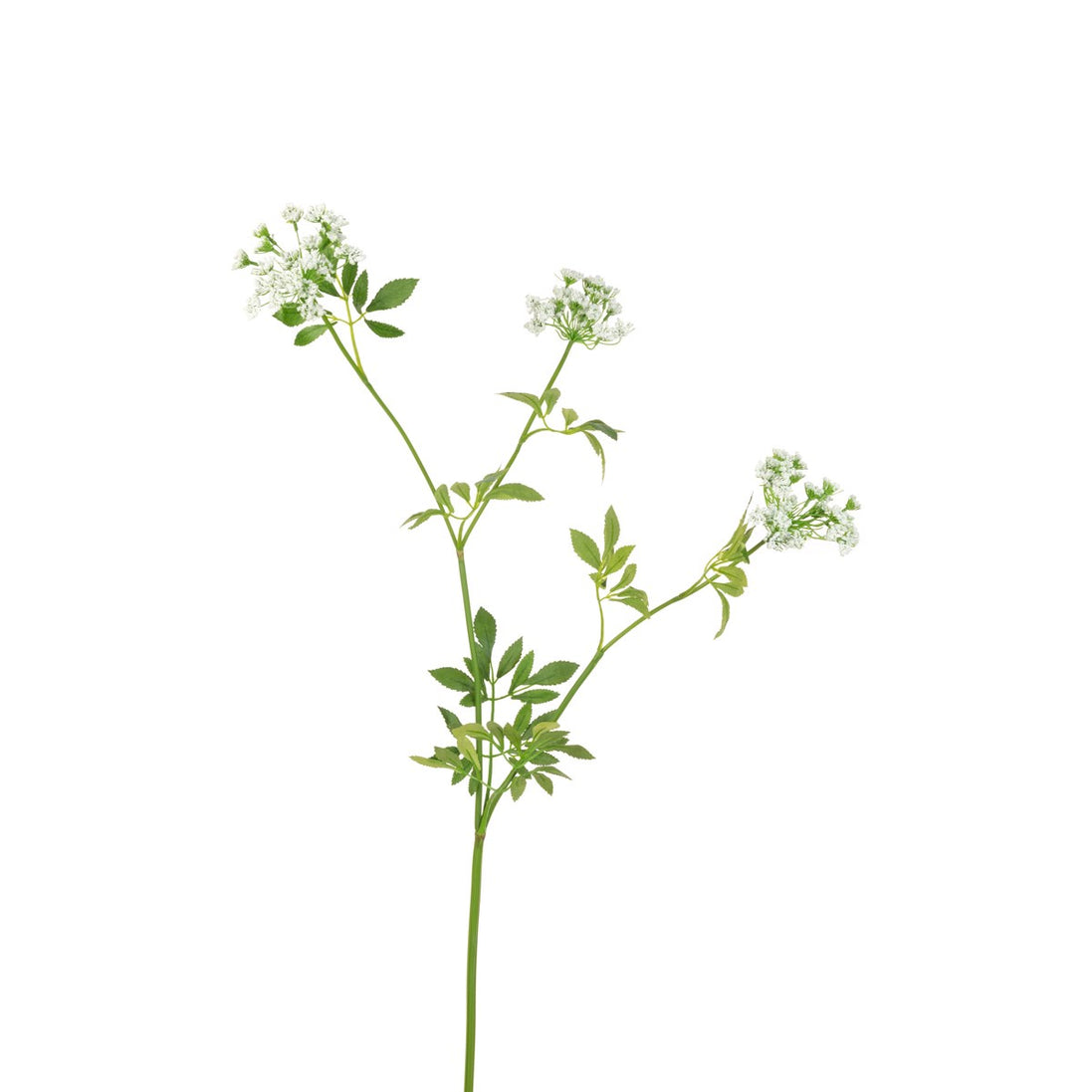 Queen Anne Lace Faux Flower Stem