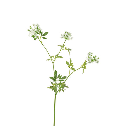 Queen Anne Lace Faux Flower Stem