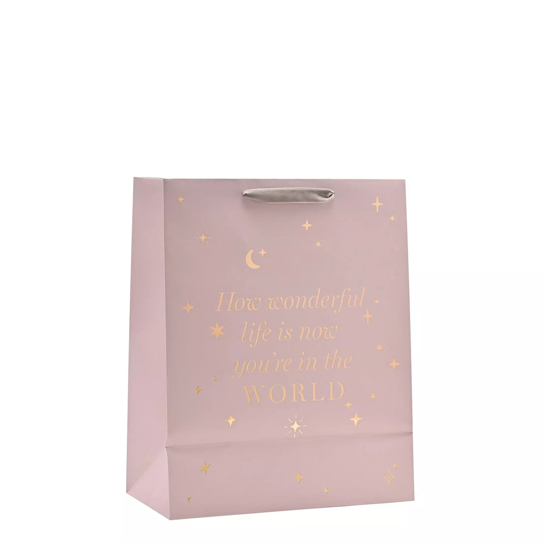 Bambino Baby Girl Gift Bag