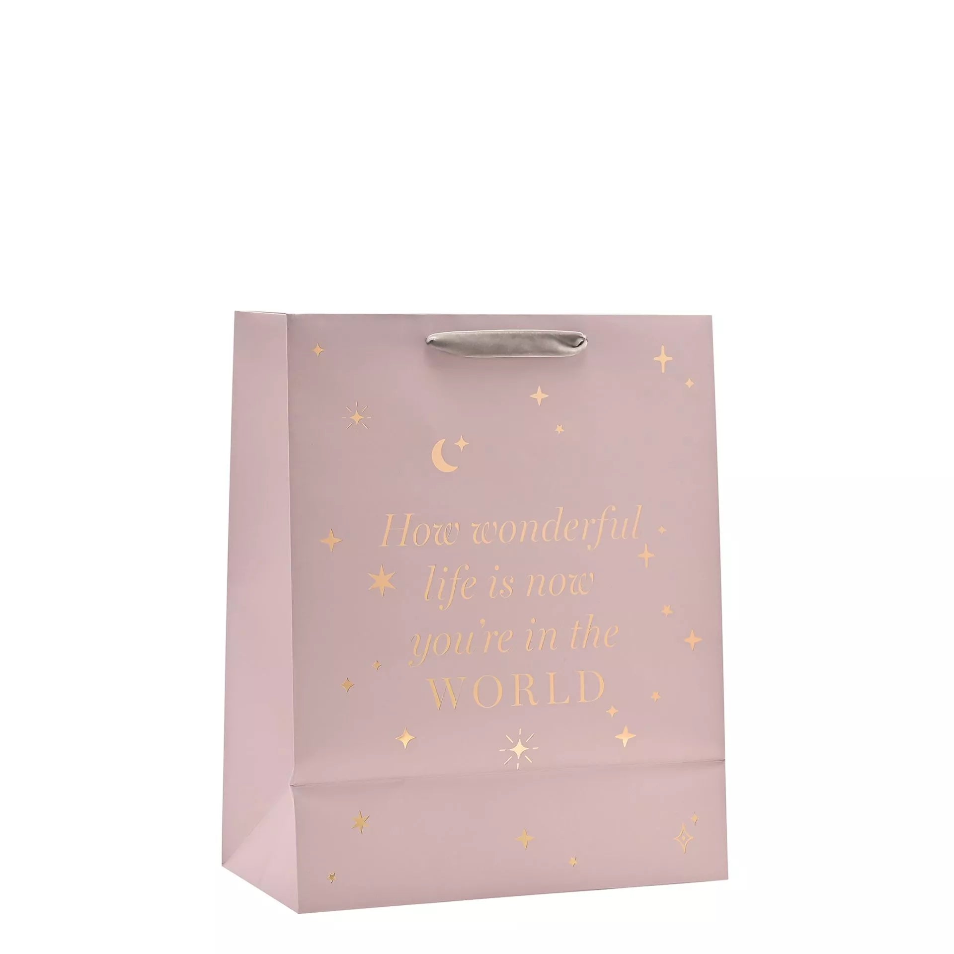 Bambino Baby Girl Gift Bag