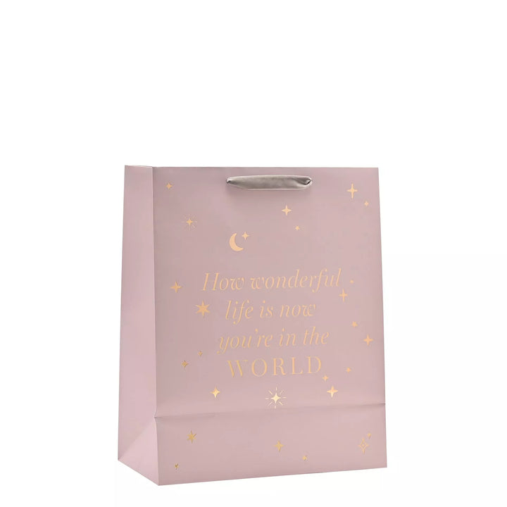 Bambino Baby Girl Gift Bag