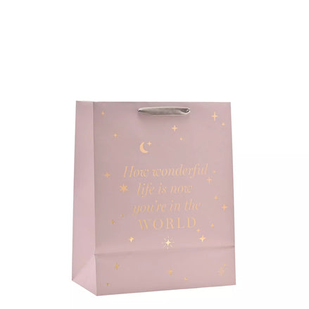 Bambino Baby Girl Gift Bag