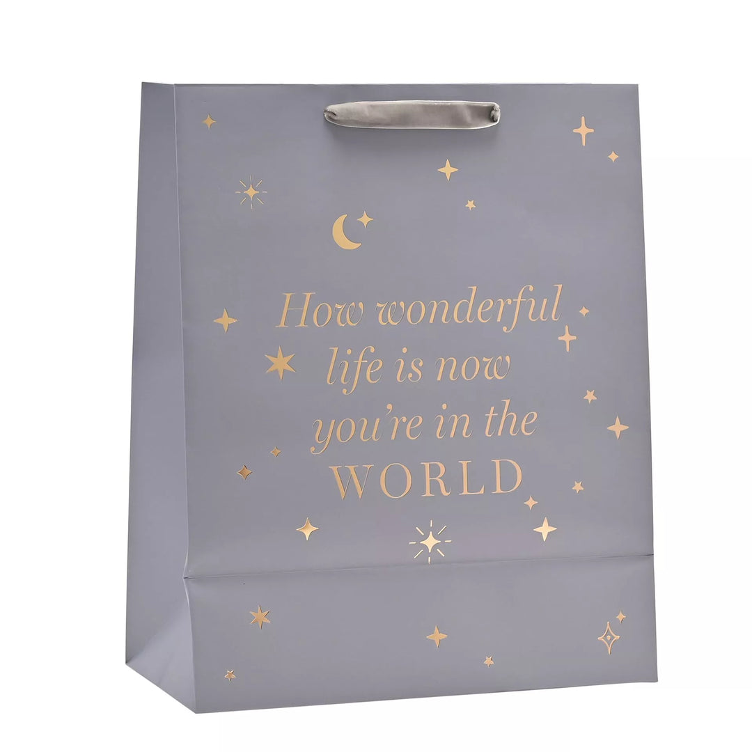 Bambino Baby Boy Gift Bag