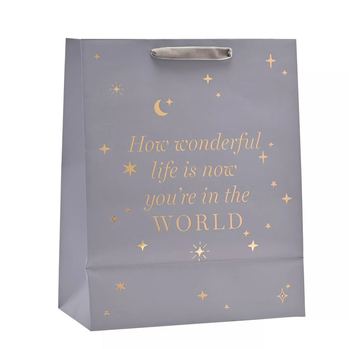 Bambino Baby Boy Gift Bag